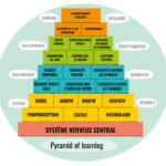 pyramide apprentissage